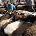 Pasar Kambing Khasgar CHINA