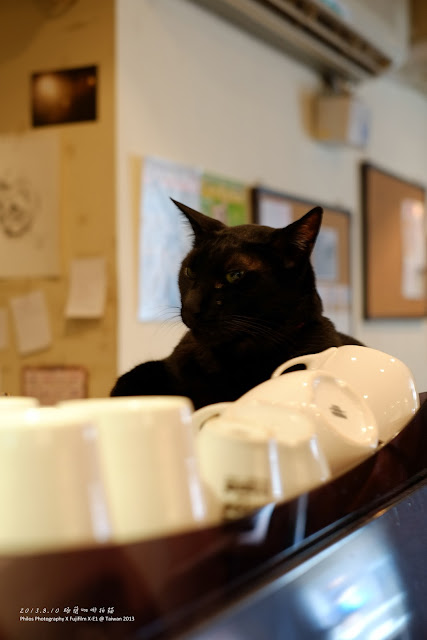 [台北] 極簡咖啡拍貓