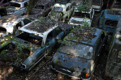 carros antigos abandonados em fazendas
