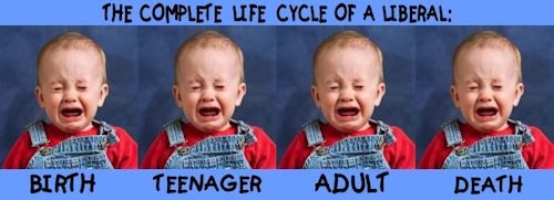 liberal-life-cycle-small.jpg