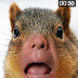 Funny Movie Maker latest version IPA file free download for iphone.
