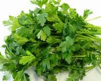 caj od persuna persun caj,parsley,groving persun,bubreg,kamen u bubregu i mokraci