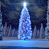 Wallpapers de Navidad - Feliz Navidad - gran árbol navideño con estrella brillosa encima 