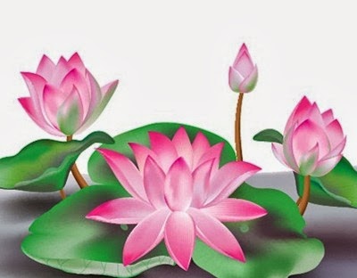 Create A Lotus Flower Create A Lotus Flower