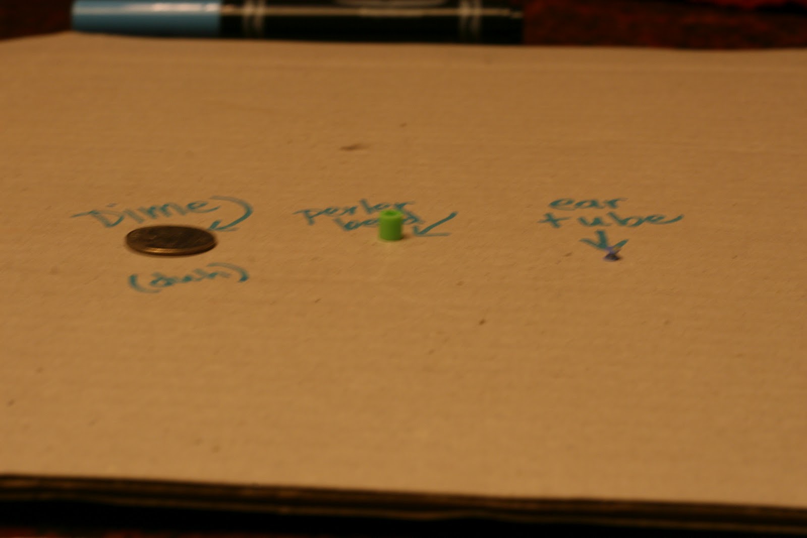 The Gonsalves Family So what does an ear tube look like anyway?