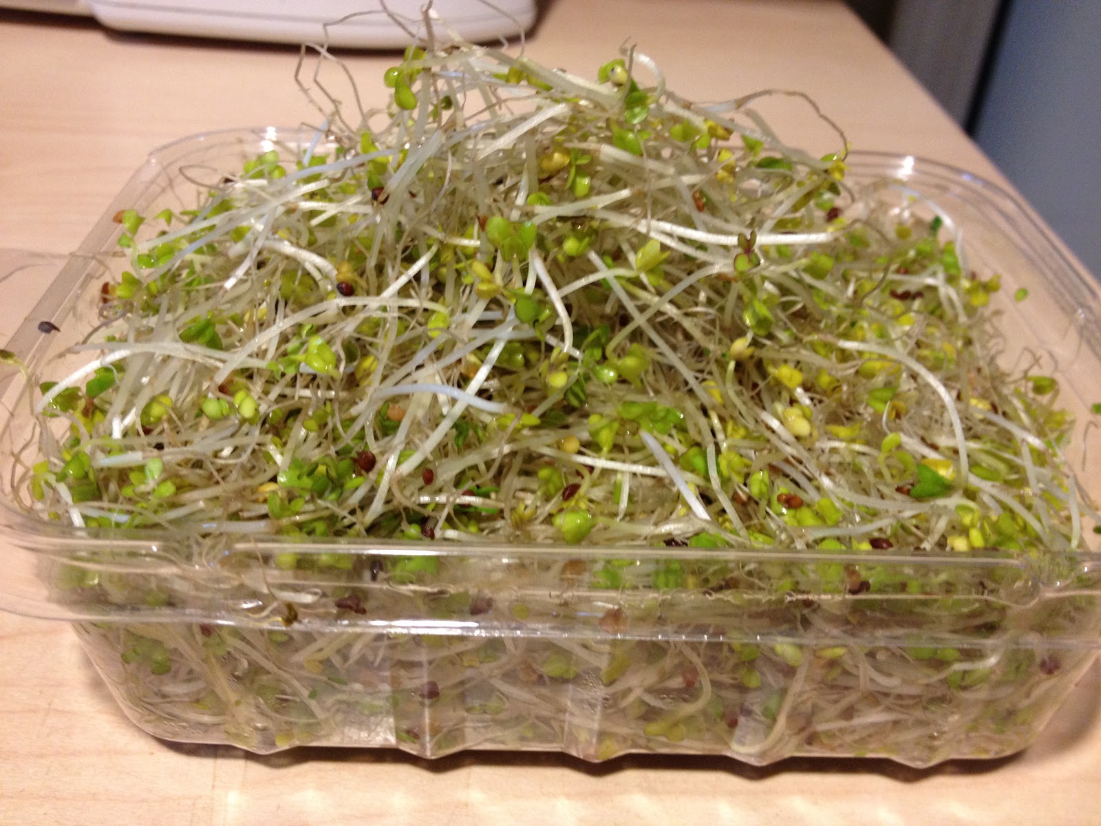 Wholelistically Living Broccoli Sprouts