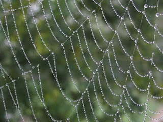 A bejewelled network A bejewelled network