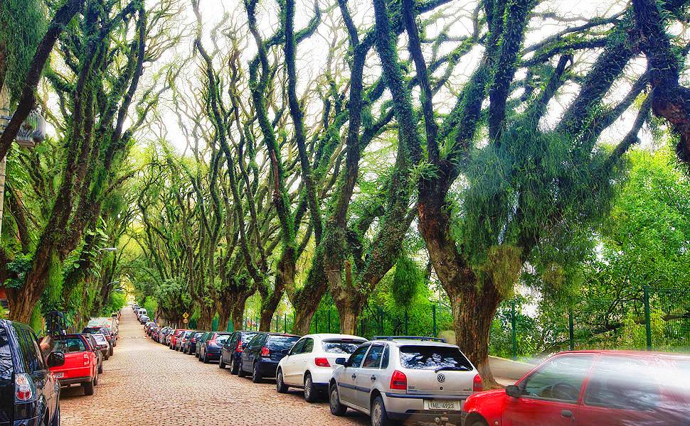 Visão da rua rua mais bonita do mundo poa porto alegre rs brasil rua gonçalo