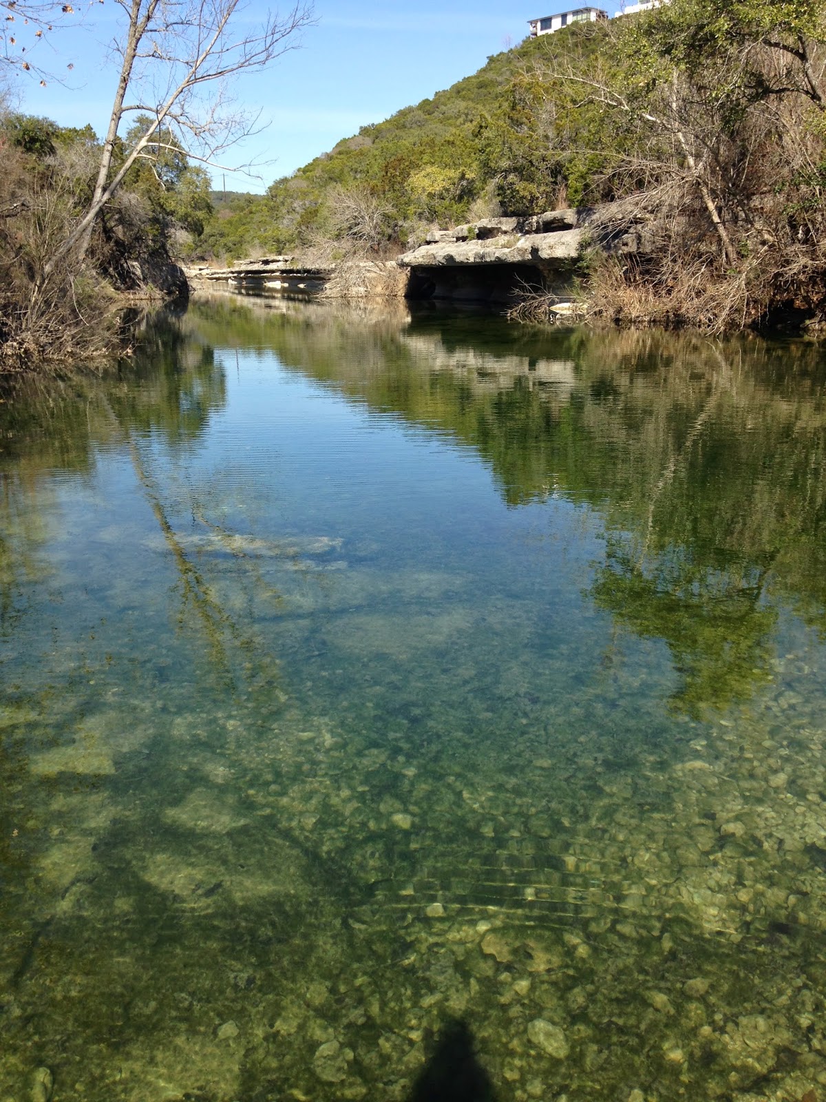 Wherever your launching off point, a visit to Bull Creek will leave you