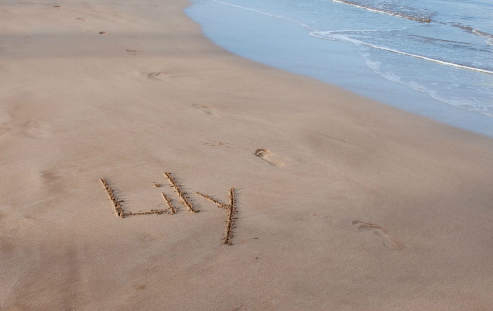 Lily Name