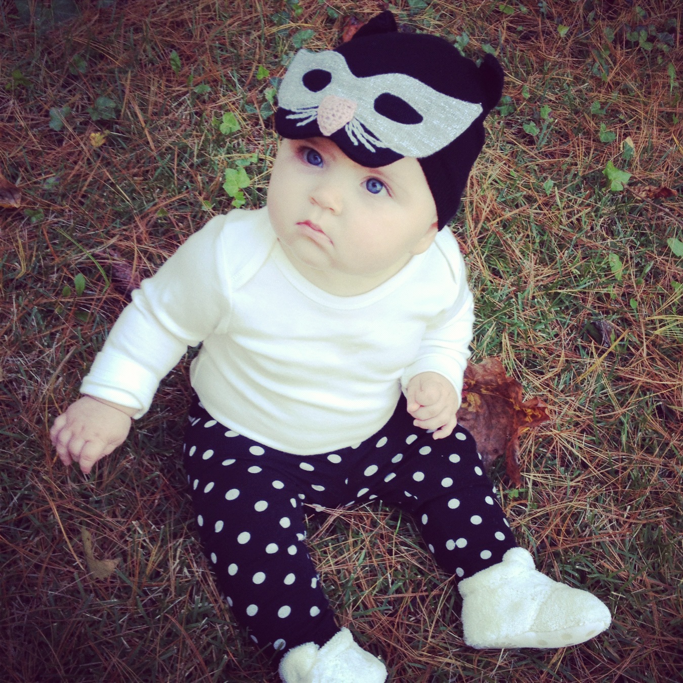 ugg baby bixbee ugg baby bixbee