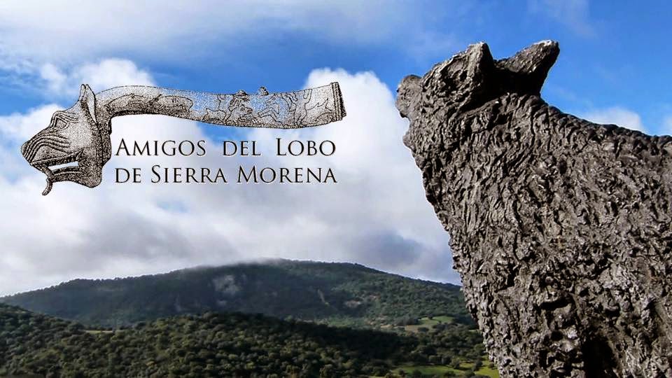 Amigos del lobo de Sierra Morena