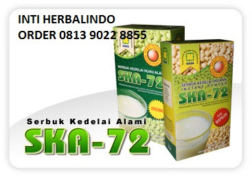 susu-sari-kedelai-asli-tanpa-ampas-ska-72-natural-nusantara-nasa.jpg