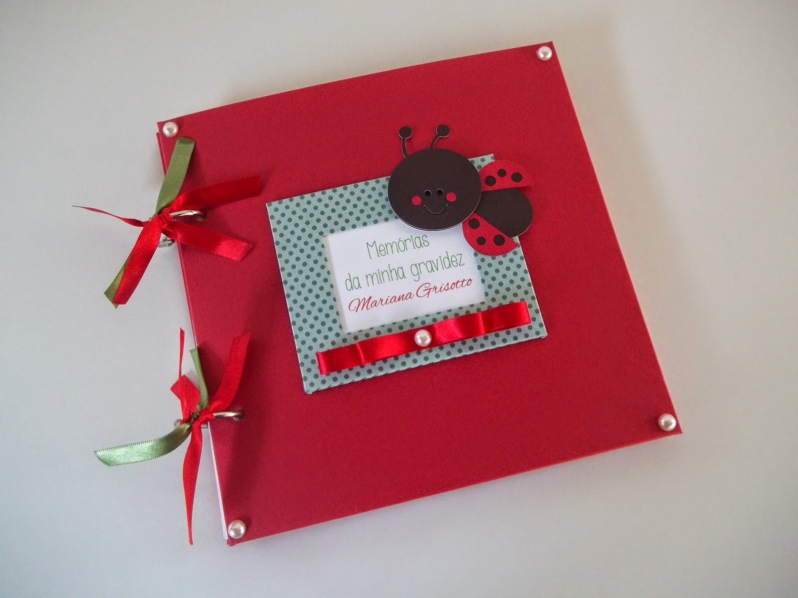 Diário da gravidez, diário da gestante, álbum gravidez scrapbook, diário gravidez joaninha enxoval do bebê tema joaninha, neném, vermelho, tema jardim