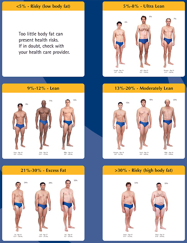 body fat chart men
