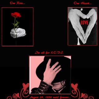 website+ORFM+blog