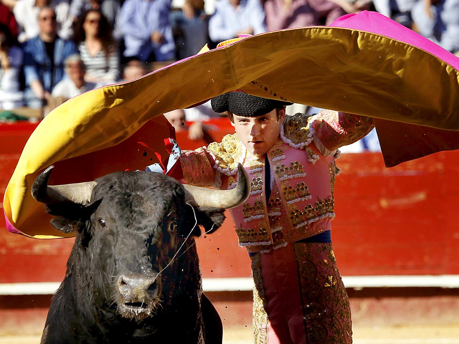 spanish style bullfighting Tico-style bullfights: some call it animal abuse, others a tradition clowns, and even spanish-style bullfighting. spanish style bullfighting Tico-style bullfights: some call it animal abuse, others a tradition clowns, and even spanish-style bullfighting.