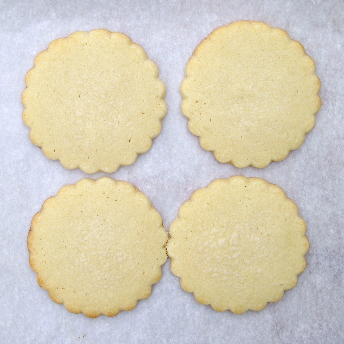 A close up of the ones placed close together from batch 2.