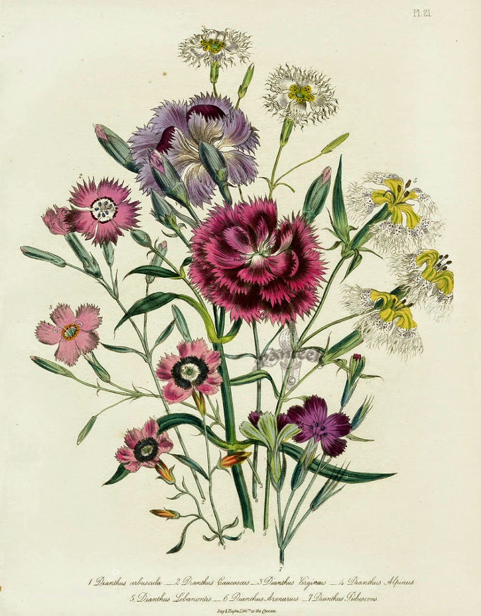 Infotainment @ www.keralites.net Fun & Info @ Keralites.net