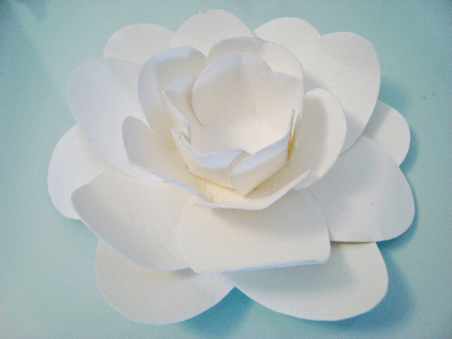 Gardenia De Papel Dibujos De Colores