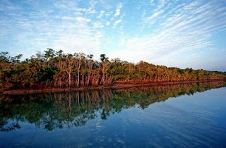 Sundarbans Khulna