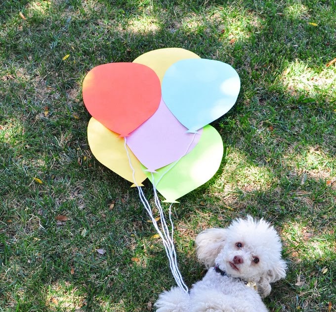 Lustige Hunde Bilder Hund mit Luftballons