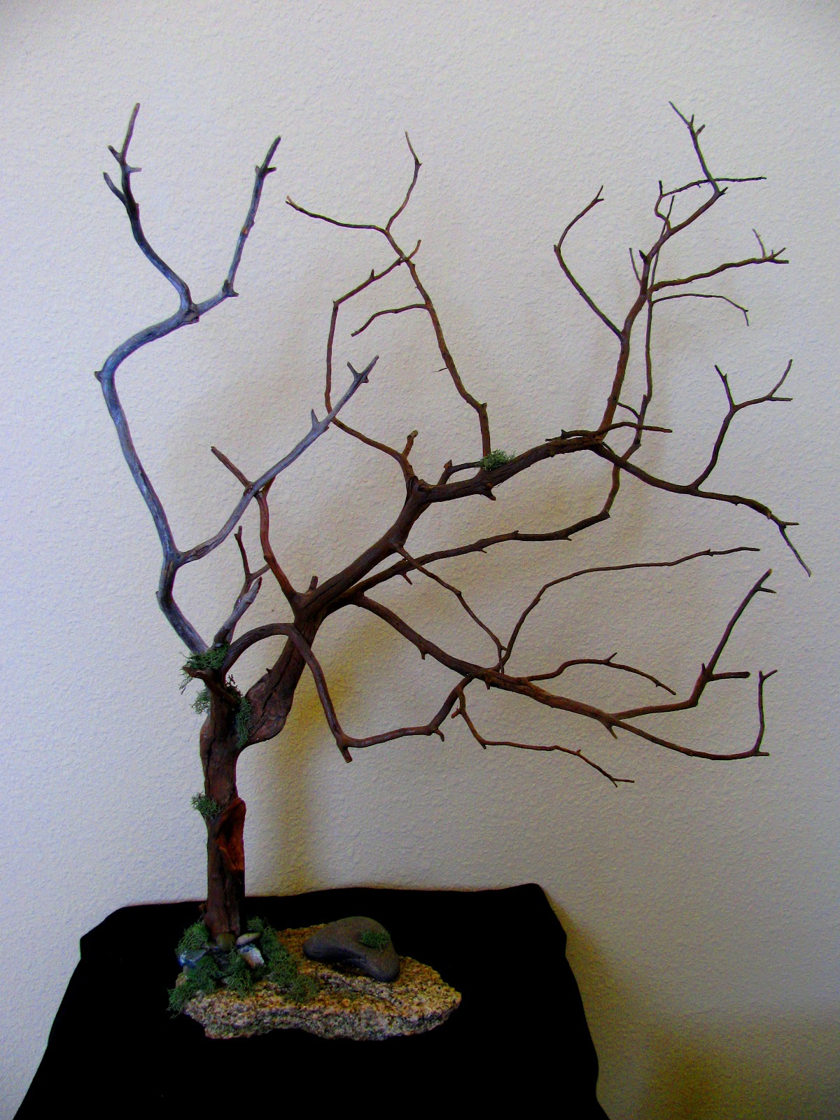 Fellini Dior and Manzanita Tree Art Manzanita Tree Art