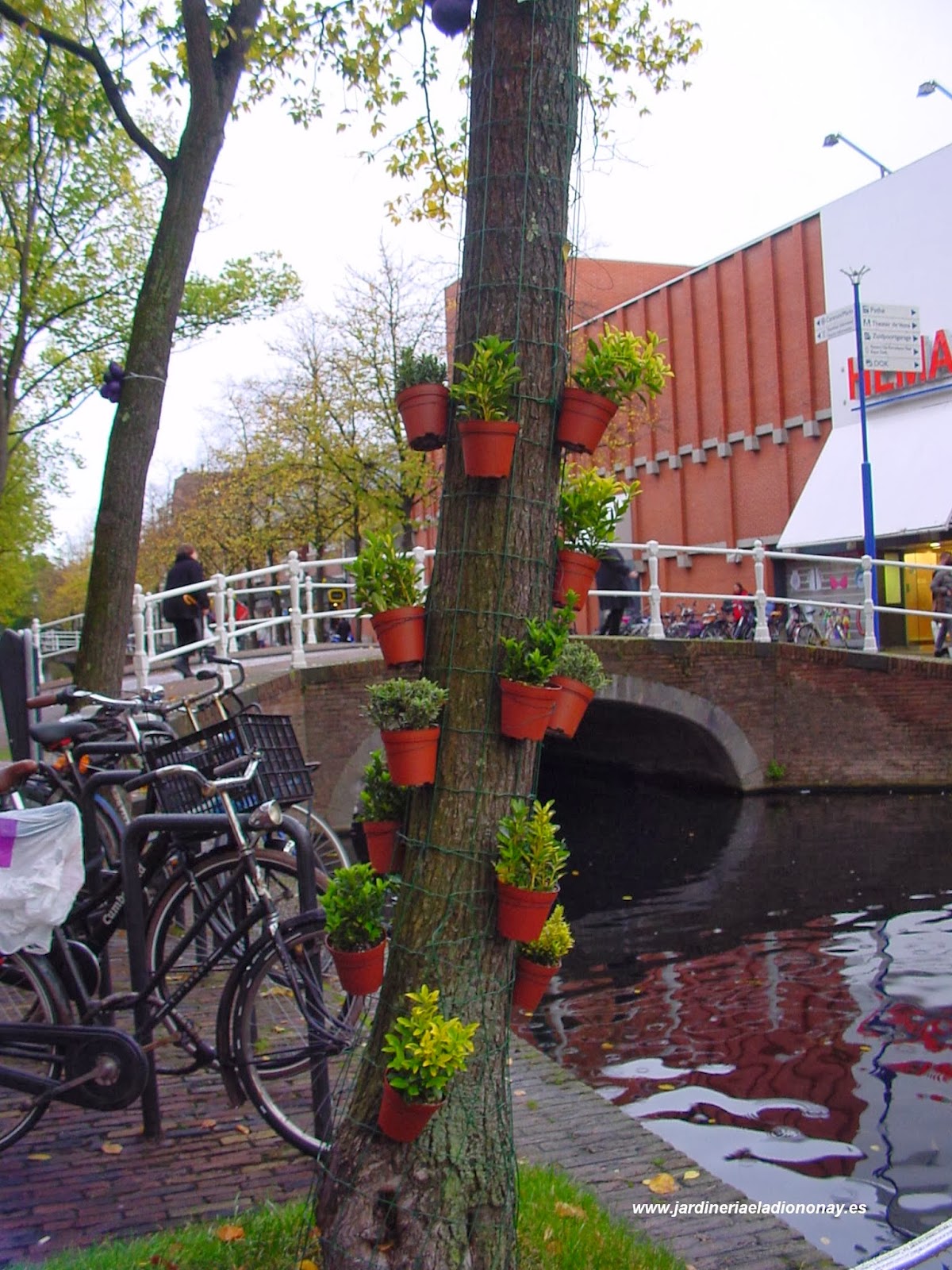 Jardineria Eladio Nonay: DECORAR ÁRBOLES CON MACETAS (Jardinería Eladio