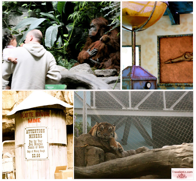 Our Day at Denver Downtown Aquarium at Colorado Travelentz