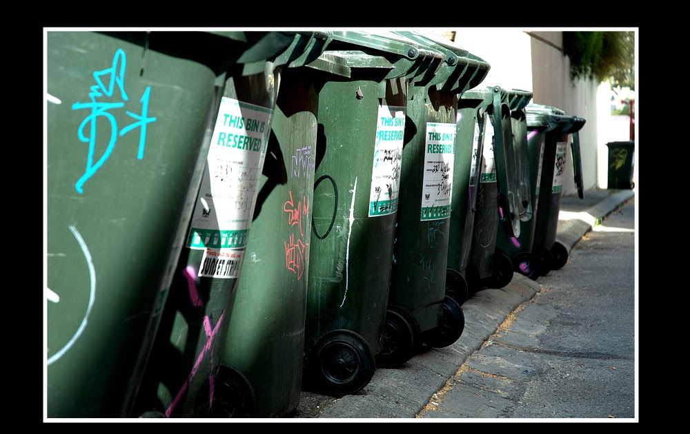 Mountaingirls Musings Bin Night