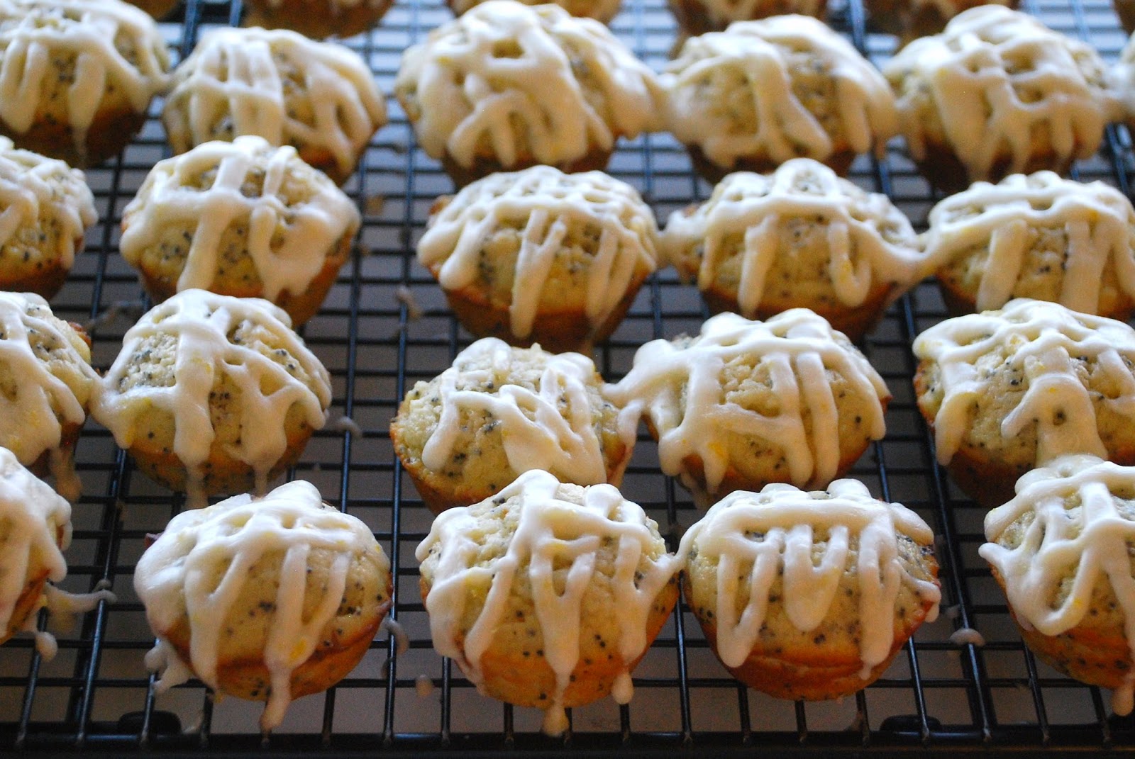 Everyday Insanity... Mini Lemon Poppy Seed Muffins
