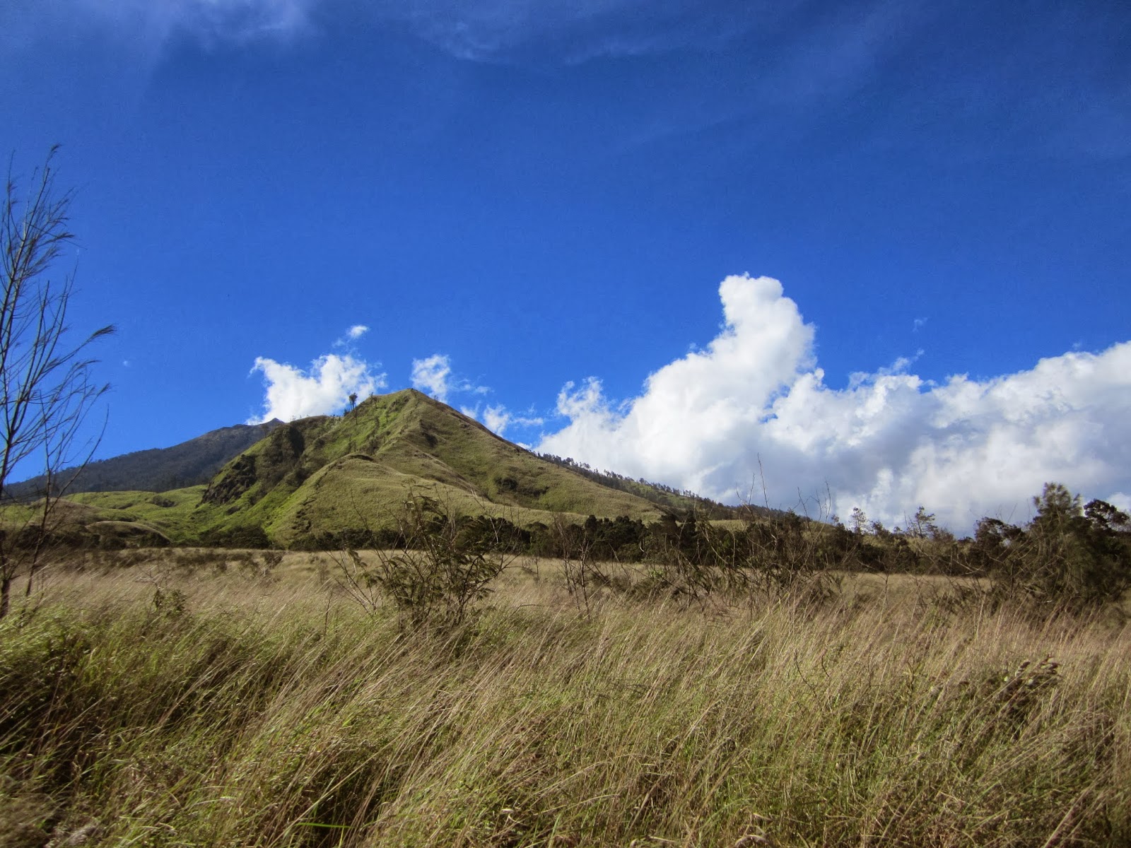 Gunung Arjuno, Gunung Tertinggi Ketiga di Jawa Timur - Yuk Piknik