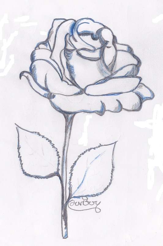 Arte semplice e poi: il disegno dei fiori visti anche attraverso l ... Rose da disegnare facili