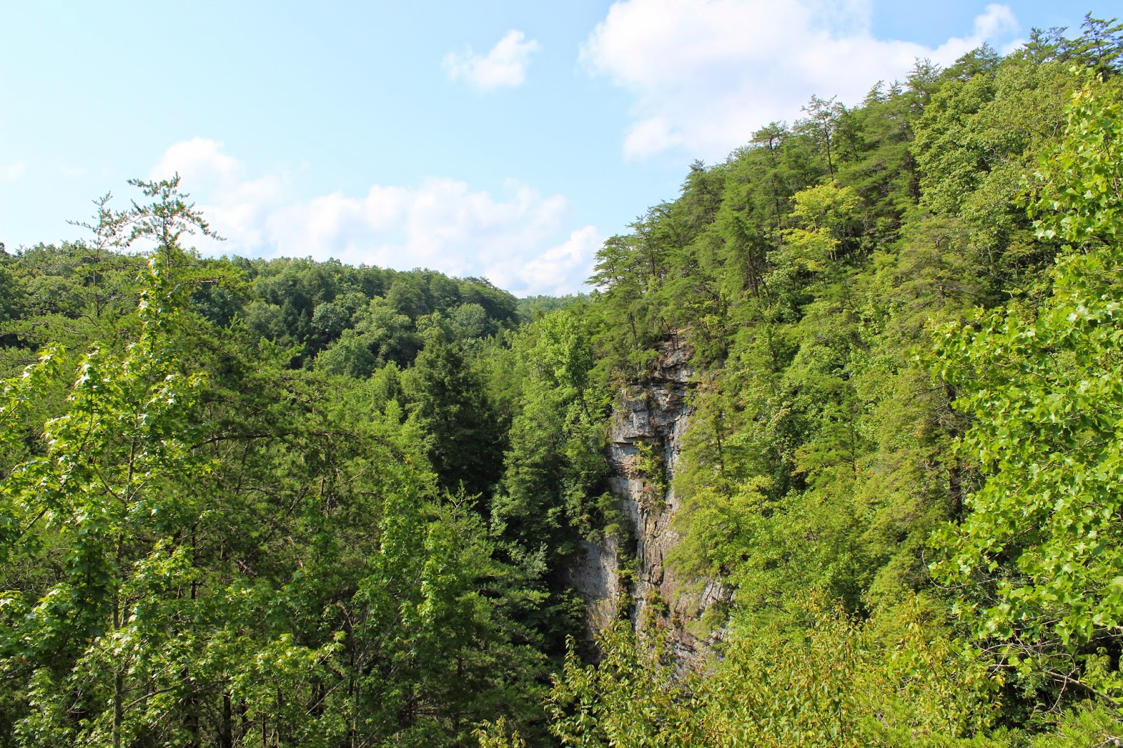 Cumberland Gal Cumberland Plateau Hiking and ExploringFoster Falls