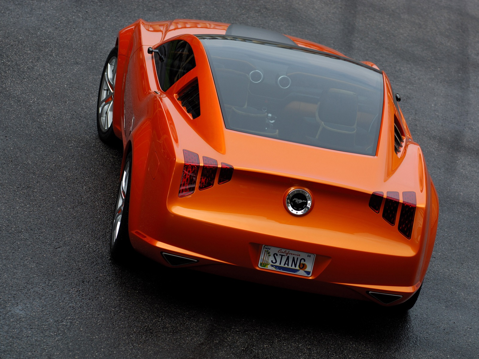 MUSTANG CONCEPT mustang concept: