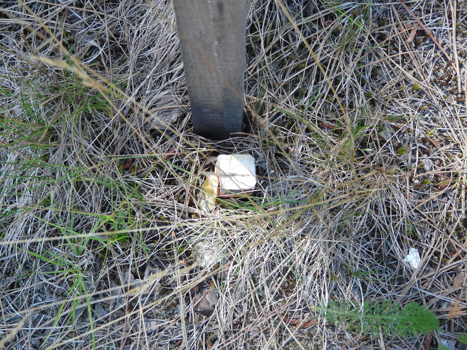 The stuff I find interesting. Boundary markers