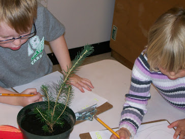 Planting our Tree and Sketching