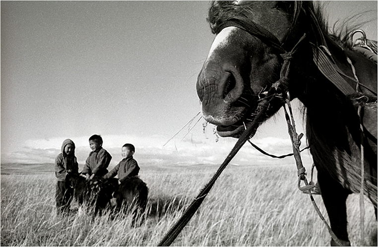 Emerging Photographers, Best Photo of the Day in Emphoka by Przemek Strzelecki Emerging Photographers, Best Photo of the Day in Emphoka by Przemek Strzelecki