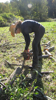 Vermont Grand View farm WWOOF usa