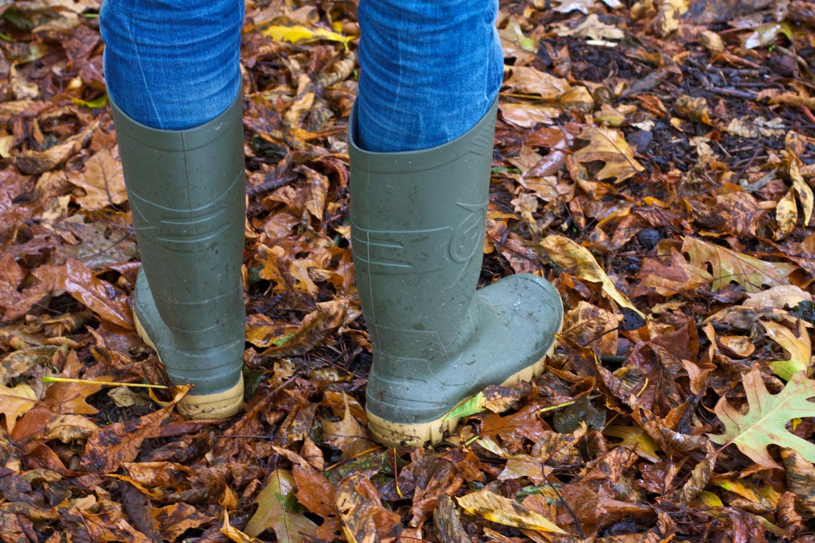 Wellies are a must Green Tea Soy Latte on a Wet Autumn day and a Stroll Through Hampstead Heath