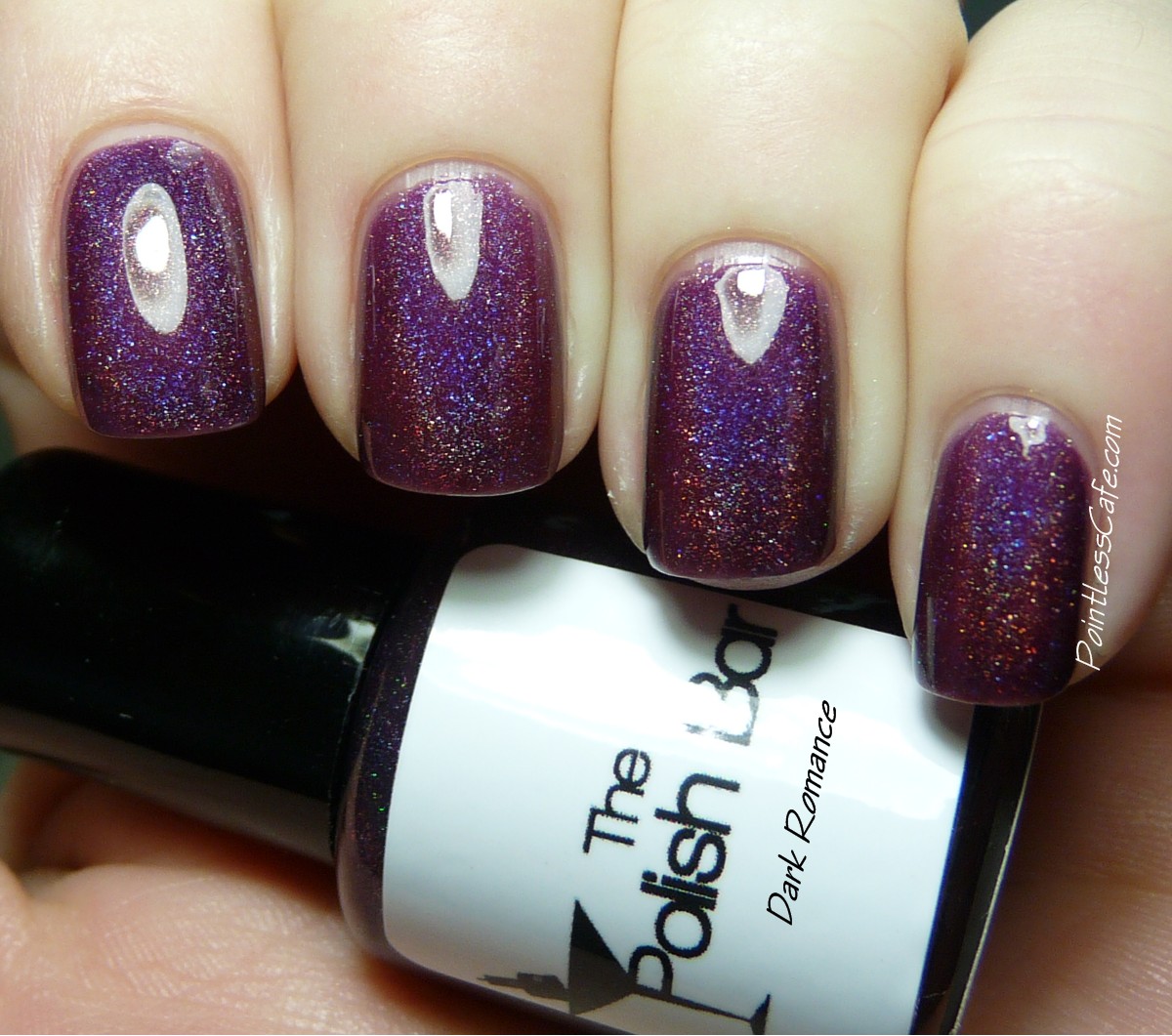 The Polish Bar Holiday 2013 Collection Swatches and Review