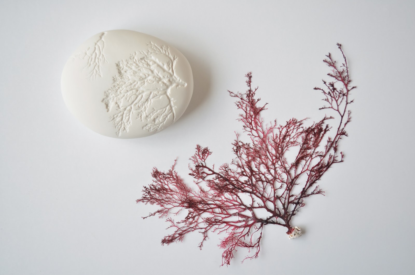 OTCHIPOTCHI MEMORIES OF SUMMER . SEAWEED STONES