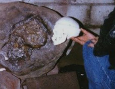300 Million Old Petrified Human Skull found in Anthracite: Out-of-place Artifacts (OOPArt)