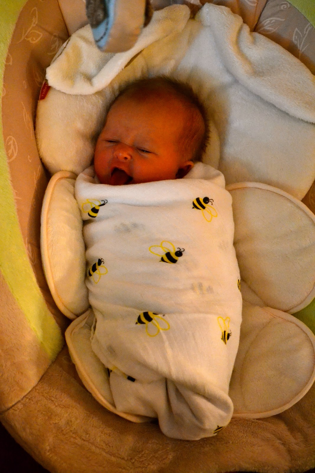 In this JOYFUL life All about the swaddle