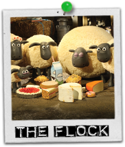 Shaun The Sheep The Cat S Name Shaun The Sheep The Cat S Name