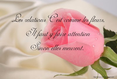 citation-d-amour.jpg