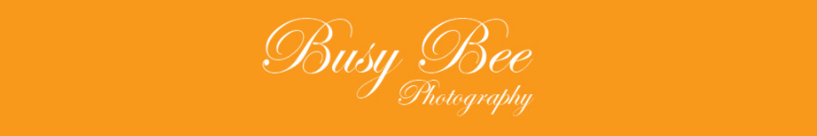 Busy Bee Photography
