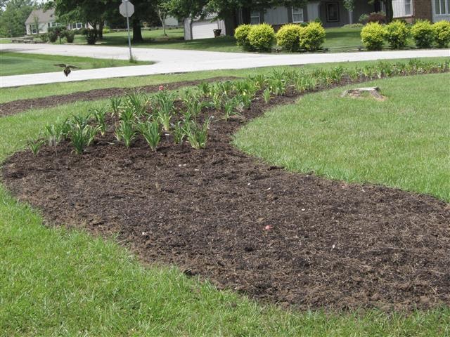 Creating Interest: Rain, mulch, and mud