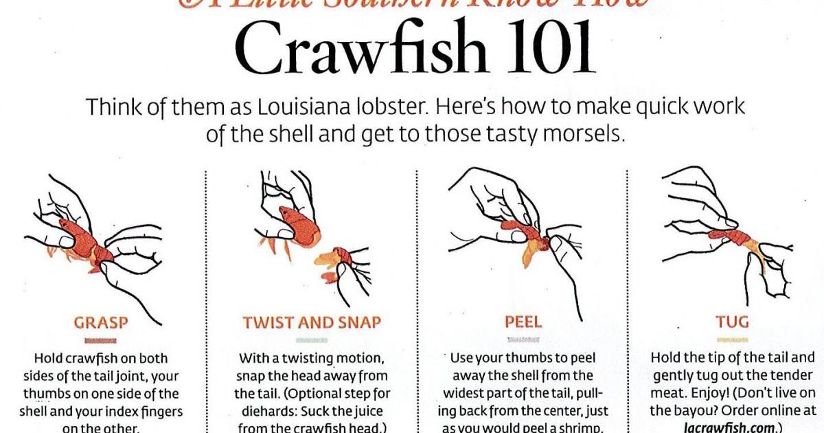 how to eat a out diagram douglas green associates inc crawfish 101 how to eat how to eat a out diagram douglas green associates inc crawfish 101 how to eat