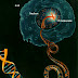 Pengertian DNA dan Isolasi DNA kromosom, Isolasi DNA plasmid, Isolasi RNA thumbnail